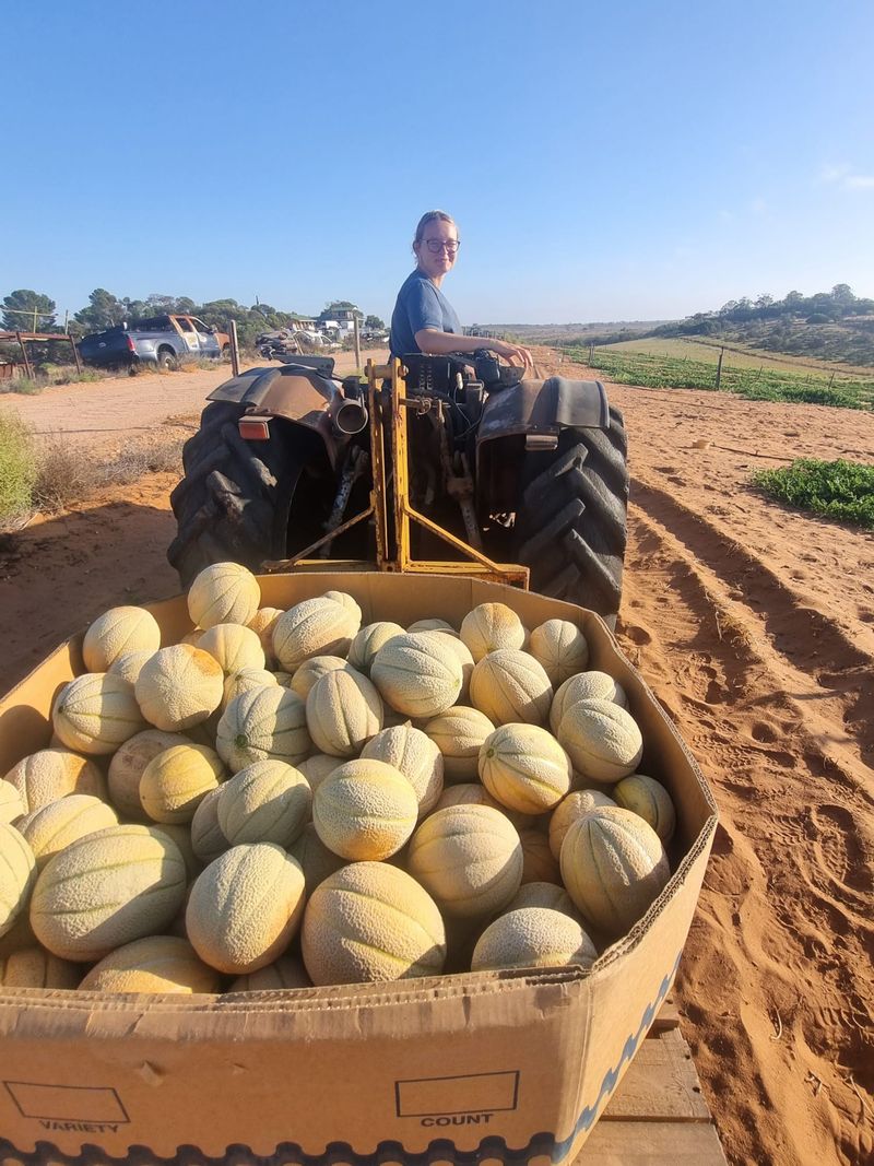 Local farmers invited to financial management workshop in Loxton post image