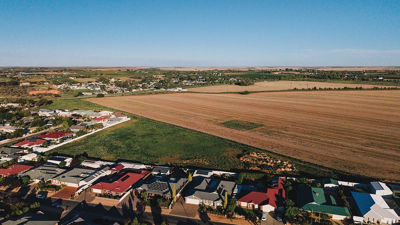 New houses in Loxton? Major cropping land up for sale post image