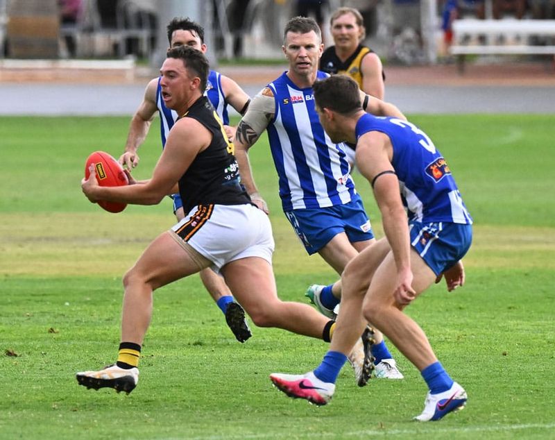 Tigers roar past rocky Rovers post image