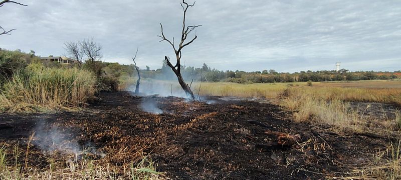 Scrub fire extinguished near Loxton post image