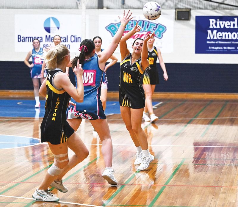 Tigers too sharp in GF rematch post image