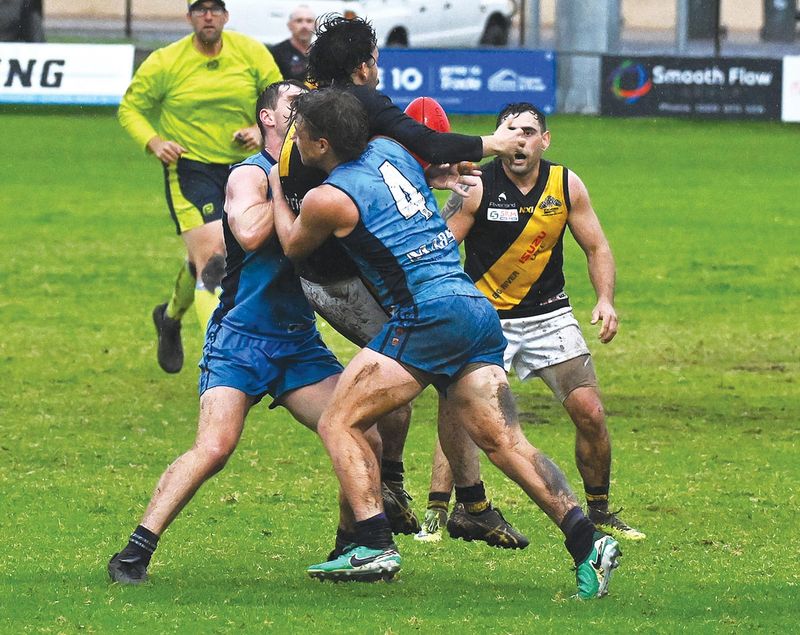 Roos bring Tigers’ momentum to a halt post image
