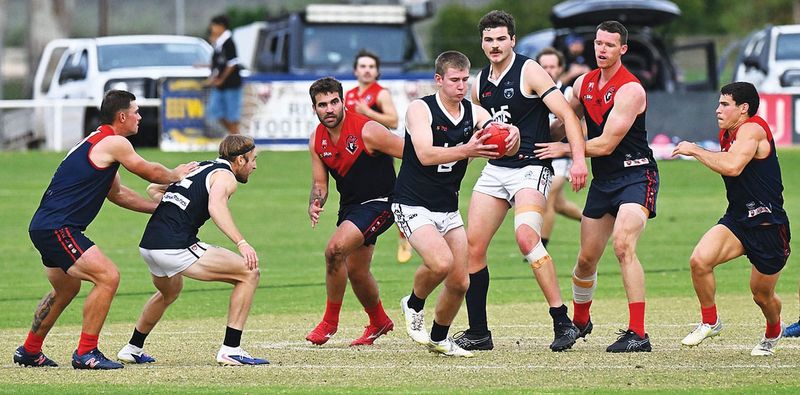 Panthers entrench themselves in the top four post image