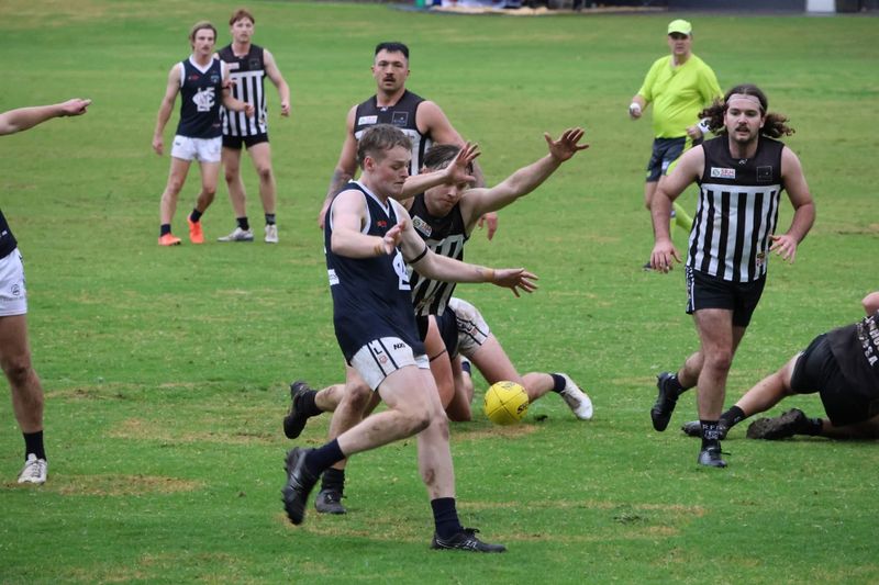 Five in a row sees Panthers into second post image