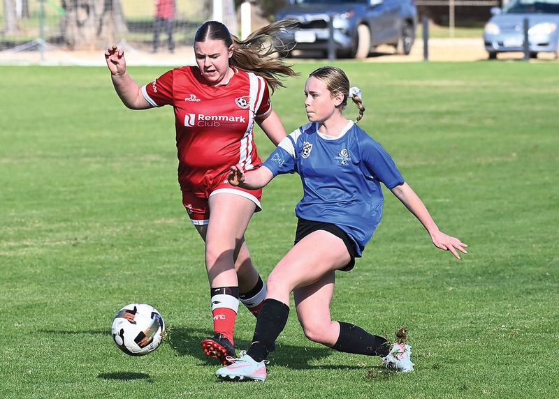 Olympic women stay top after battles with Loxton post image