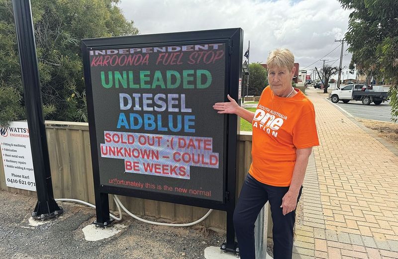 Plan to delay SA council elections: Mayor says no, Jenny says yes post image