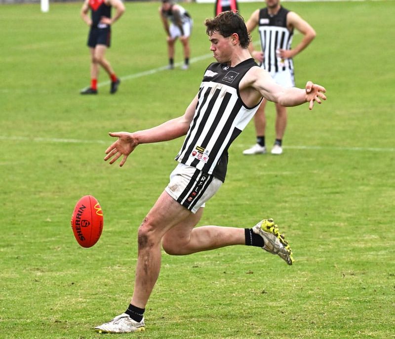 Magpies fly to the top post image