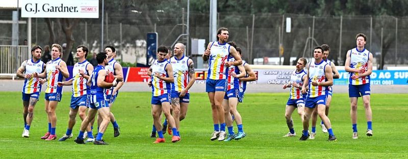 Rovers back on winners list with resounding win post image