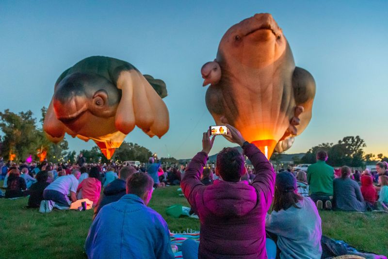 Loxton skies set for air balloon art sunrise experience post image
