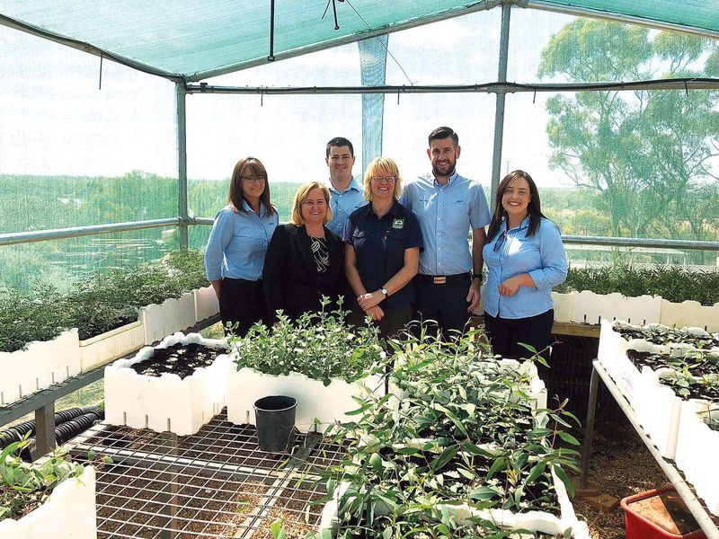 Community invited to apply for Seeds of Renewal program post image