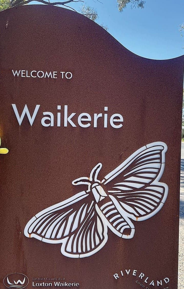 Waikerie close to Ag Town honour post image