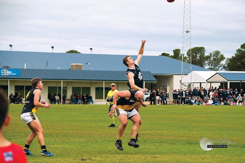 Tigers claw their way into finals post image