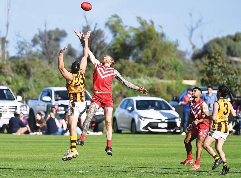 Hankin hoists cup in first year back post image