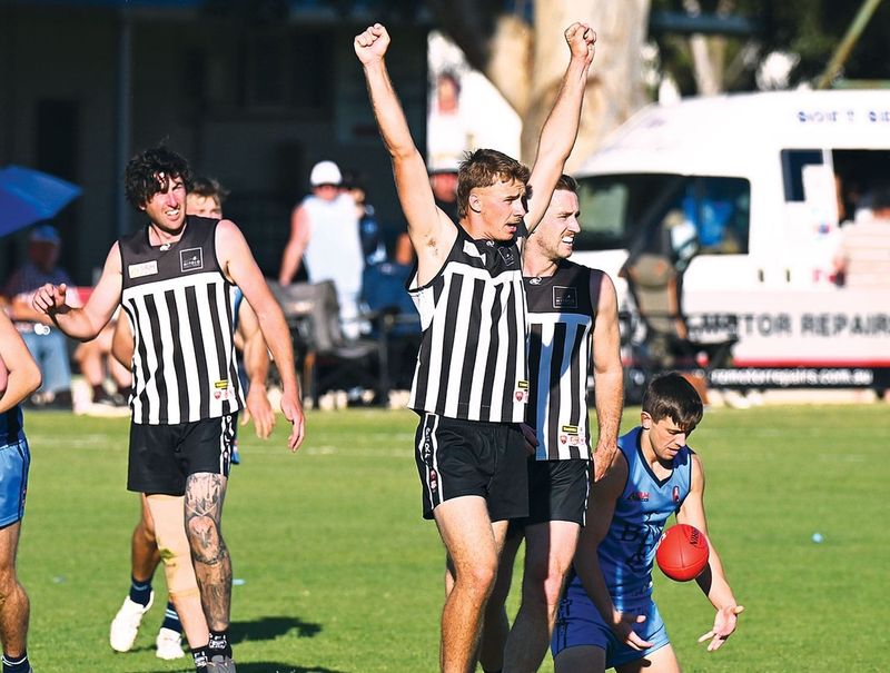 Magpies in full flight en route to flag post image