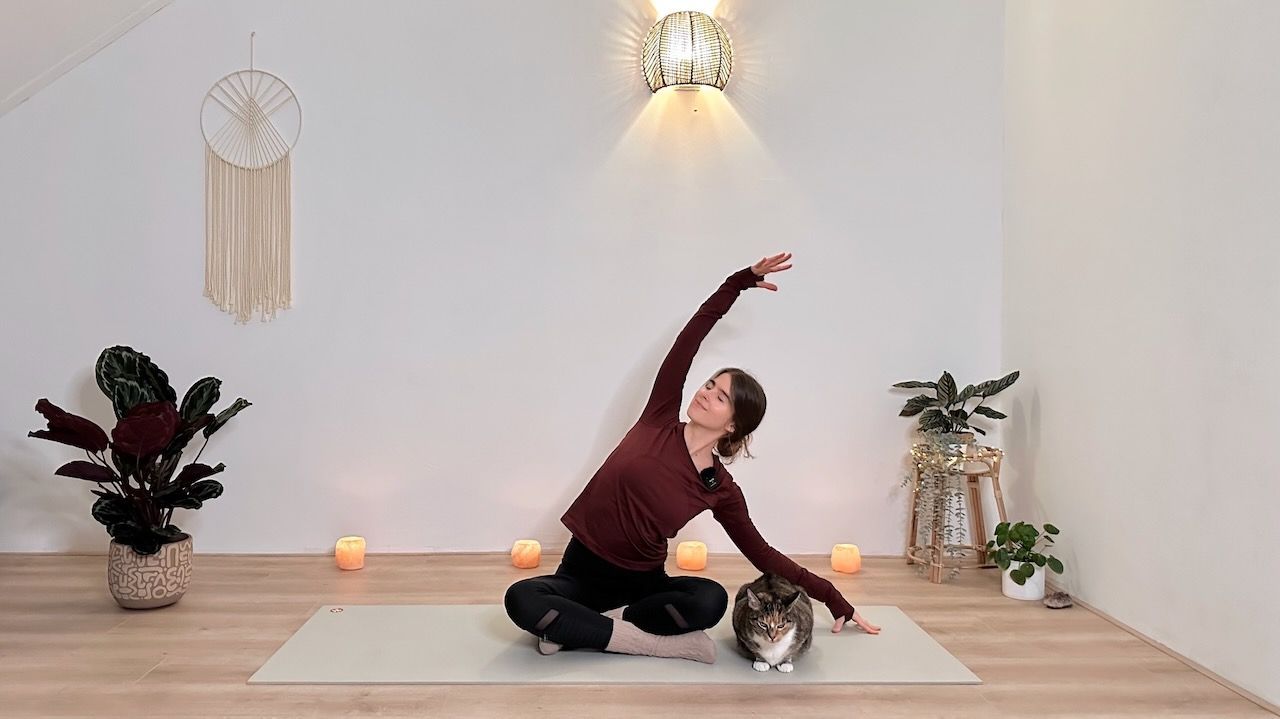 LIVE 25 MIN SANFTES YOGA IM SITZEN || Entspannung & Ruhe am Morgen oder Abend 🫧 Anti-Stress Yoga