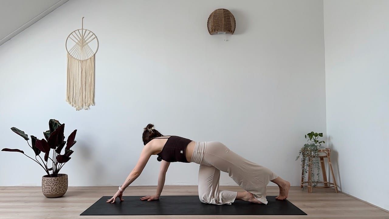 30 MIN YOGA || Ganzkörper-Flow: Kraft, Balance & Beweglichkeit (Prenatal Yoga, T1/T2/T3)