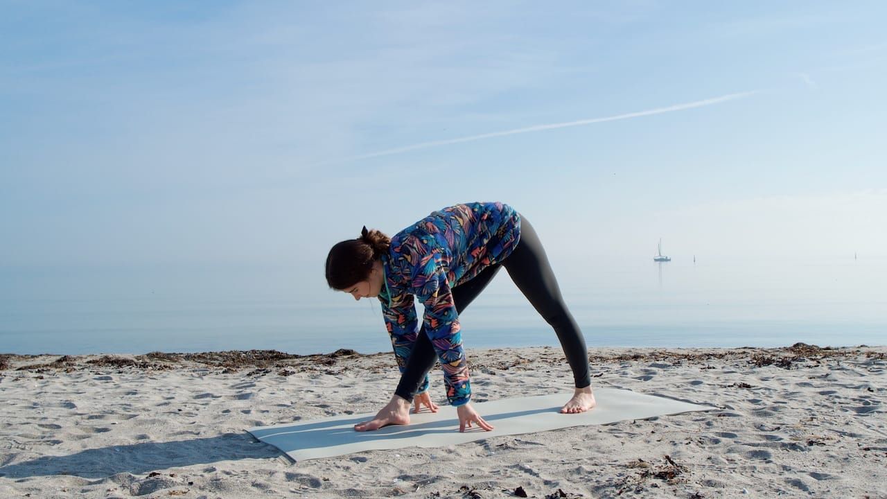 20 MIN FRÜHLINGS-YOGA 🌸 Energie, Beweglichkeit & Innere Ruhe – Ganzkörper-Vinyasa-Flow (ohne Musik)