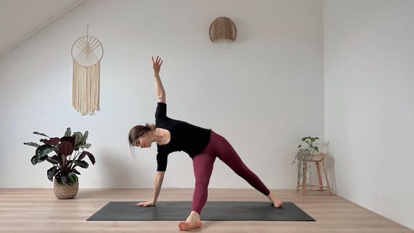 Align • Tag 25 🦋 15 MIN YOGA || für Energie & Fokus – Vollmond Yoga 🌕 mit 528 Hz Musik