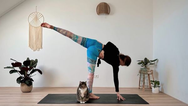 Align • Tag 19 🦋 15 MIN YOGA WORKOUT || Core, Beine & Gleichgewicht – mit Halbmond 🌓