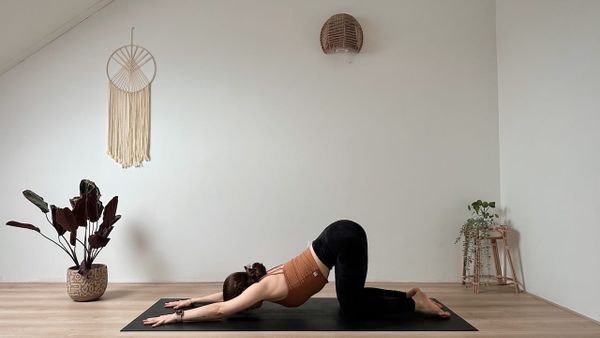 20 MIN YIN YOGA || Sanfte Dehnungen & Entspannung für den ganzen Körper (alle Level)