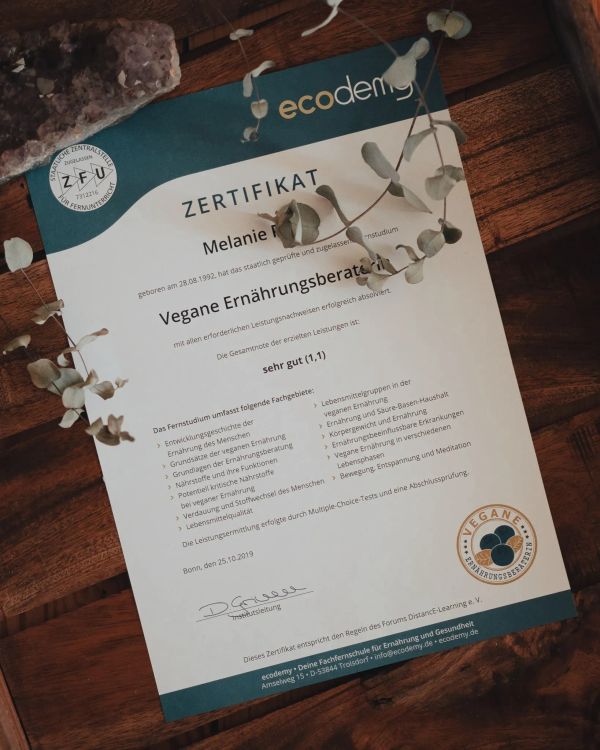 Meine Erfahrung mit der Ausbildung zum Ernährungsberater bei Ecodemy
