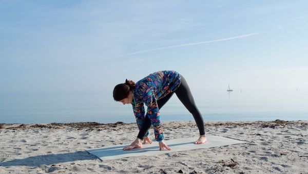 20 MIN FRÜHLINGS-YOGA 🌸 Energie, Beweglichkeit & Innere Ruhe – Ganzkörper-Vinyasa-Flow (ohne Musik)