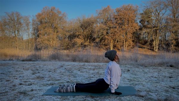 Winter Yoga Flow ❄️ 20 Min Yin Vinyasa Yoga für die Wintersonnenwende | Yogastunde zum Mitmachen