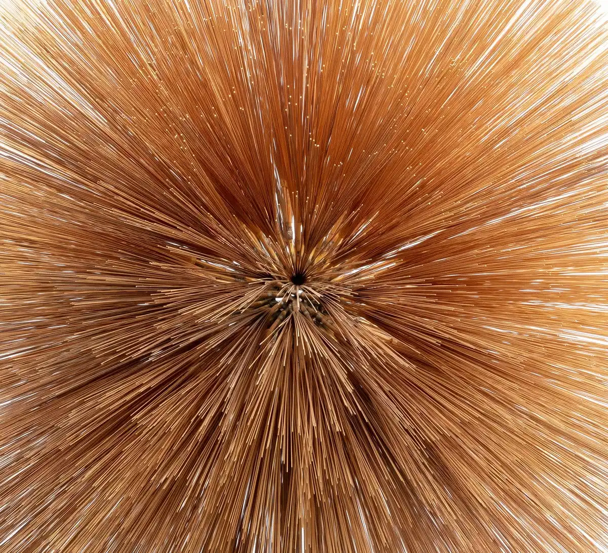 Of the Near and Far album cover