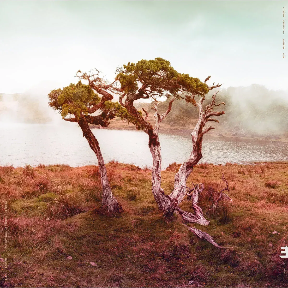 Juniper – Slowly Rolling Camera