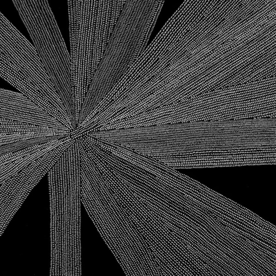 Solace of the Mind – Amina Claudine Myers