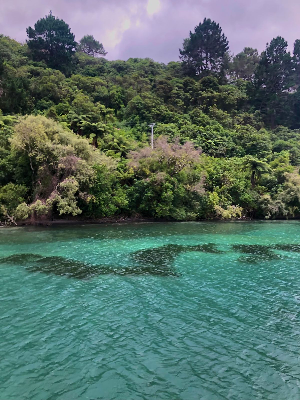 My Trip to New Zealand: Week 2