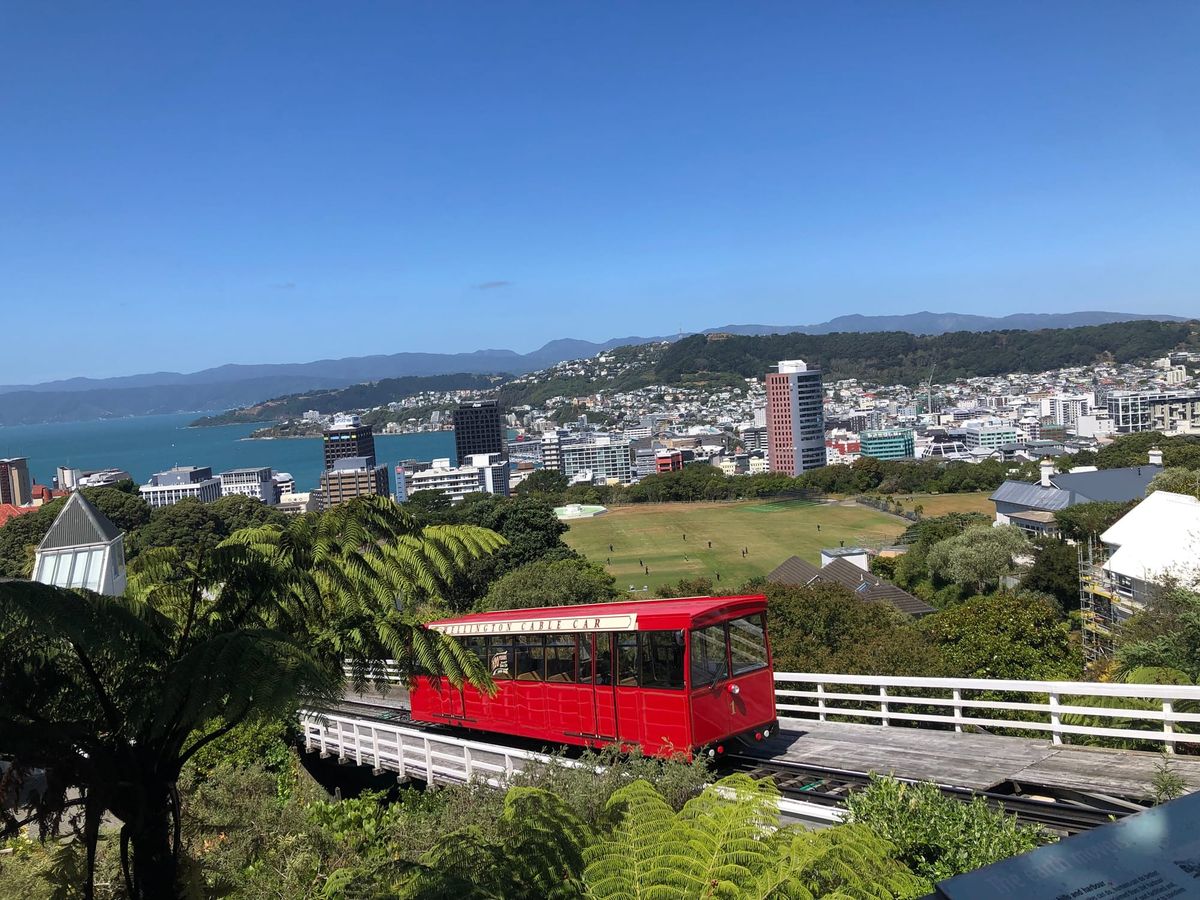 My Trip to New Zealand: Week 3