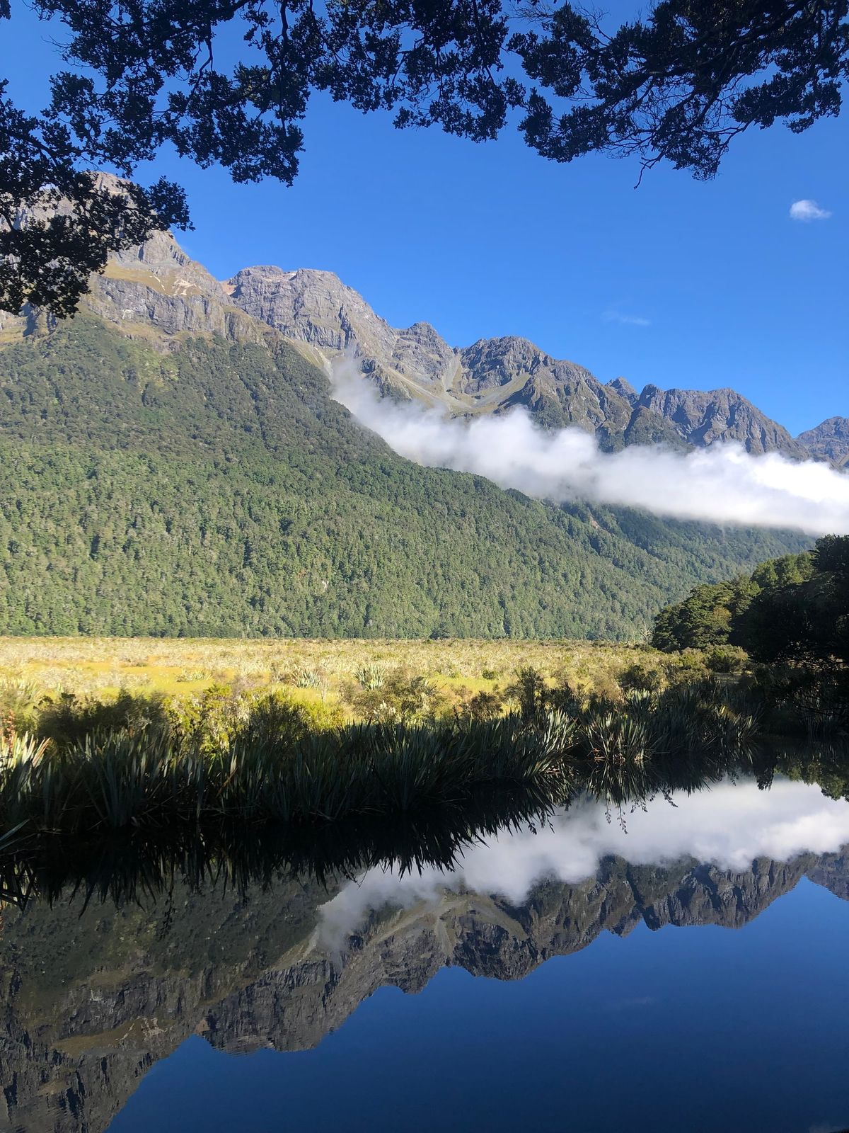 Week 5: Saw more selfie sticks than New Zealanders