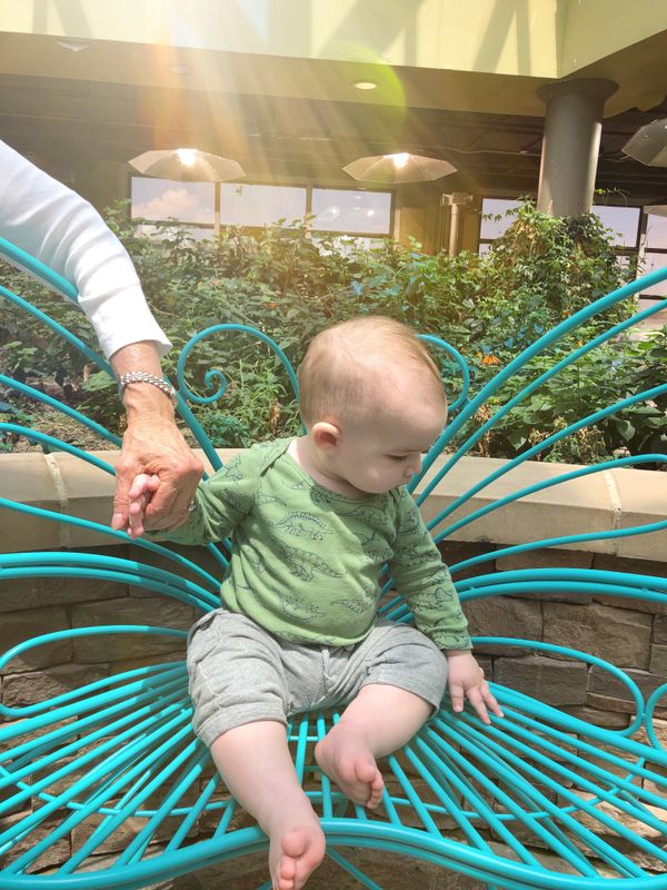 11 Steps for Nanny Search