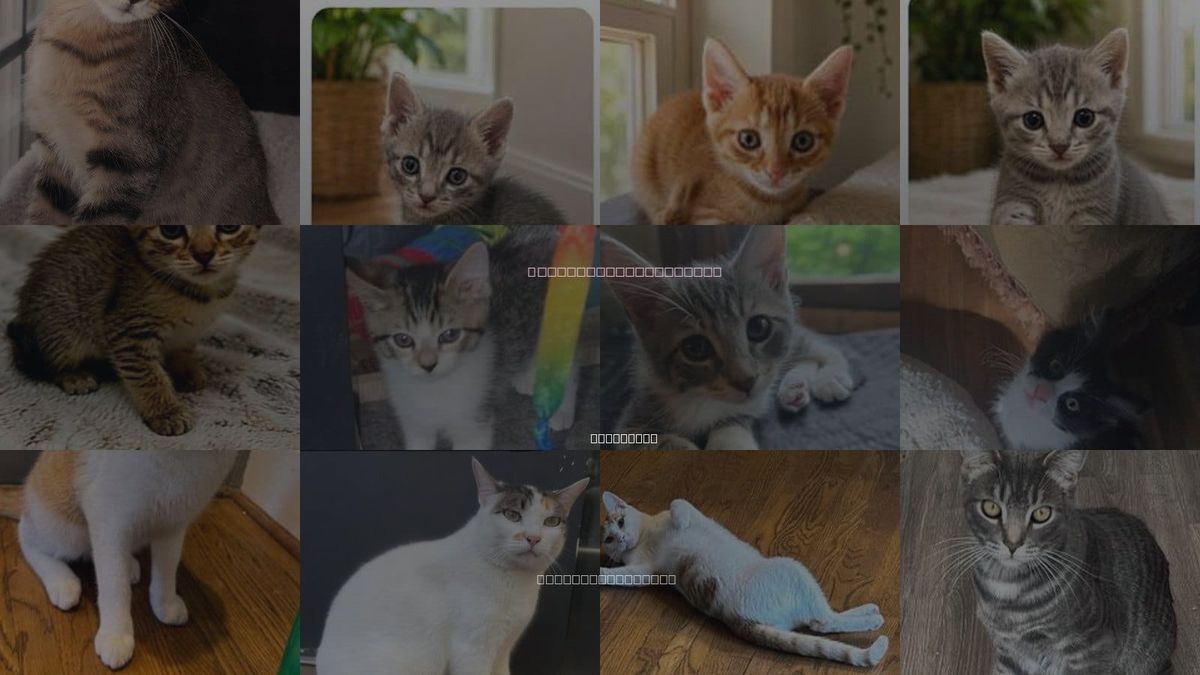 Cats for Adoption in Franklin, Tennessee