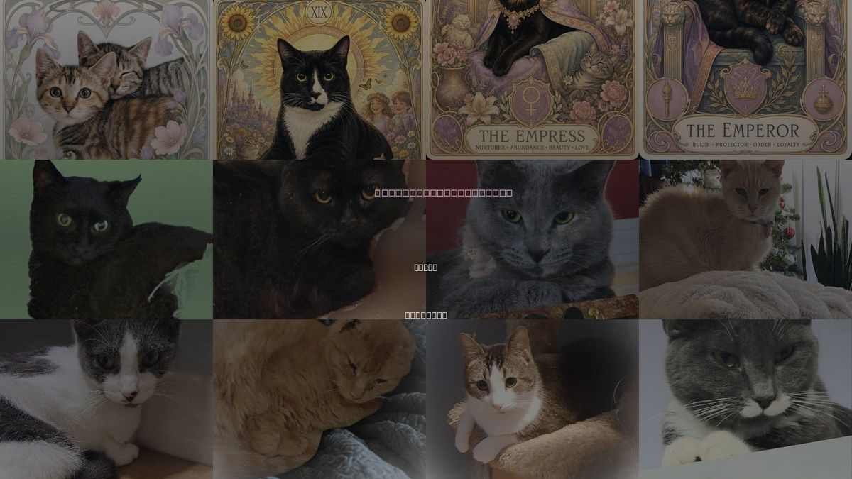 Cats for Adoption in Lyons, Illinois