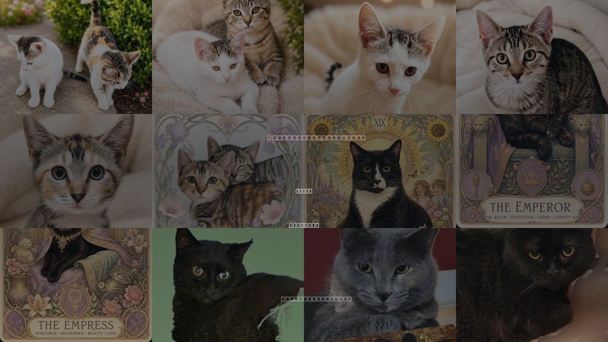 Cats for Adoption in Lyons, Illinois