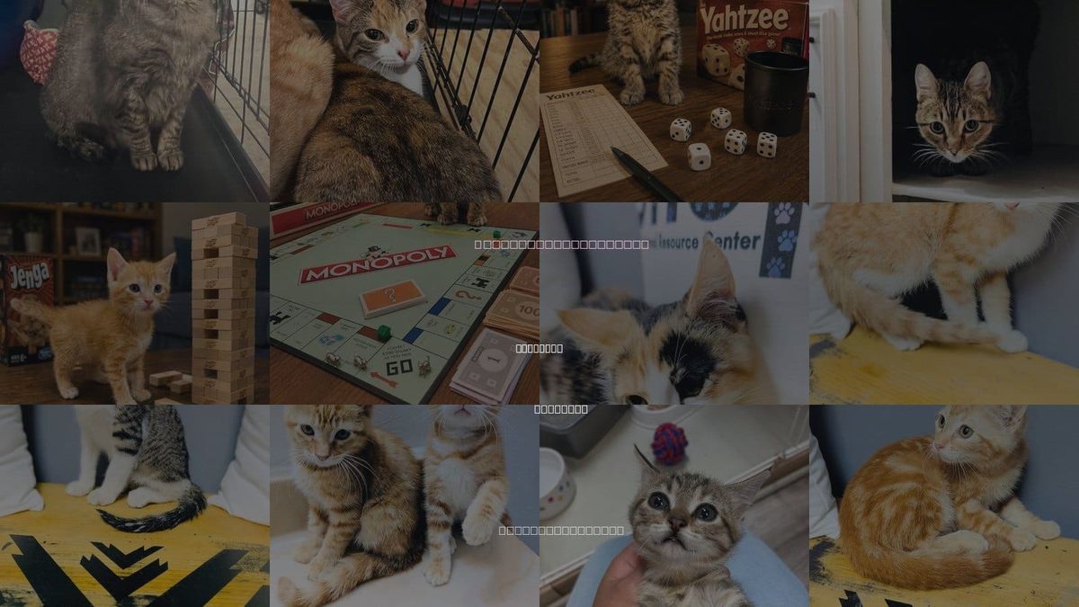 Cats for Adoption in Muskogee, Oklahoma
