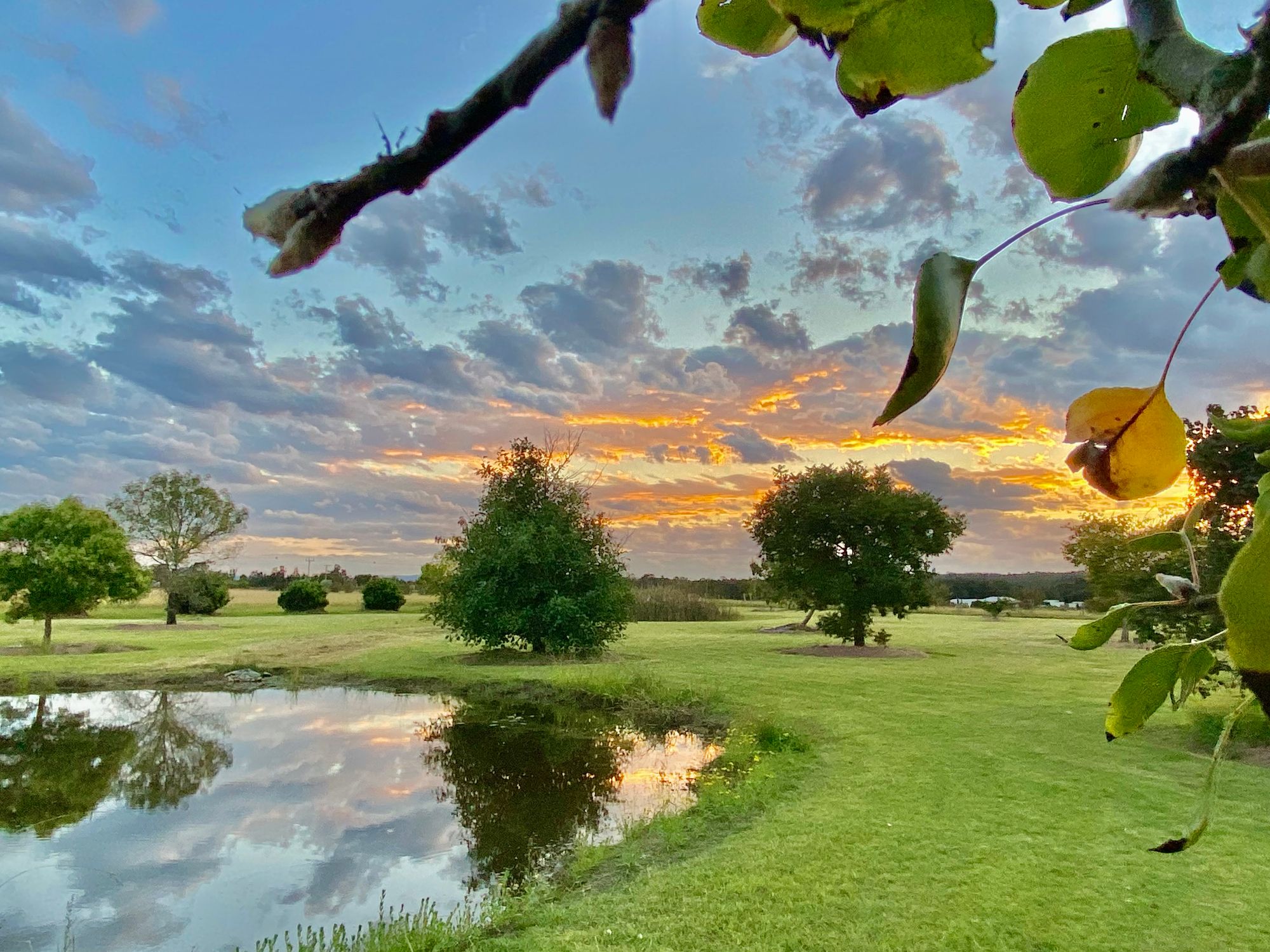 196D3B29-8E22-4DF2-9333-4E1EE0A946BD