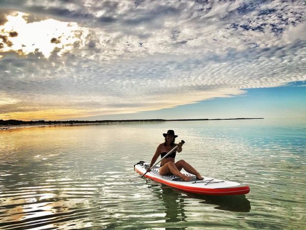 Stand Up Paddleboard