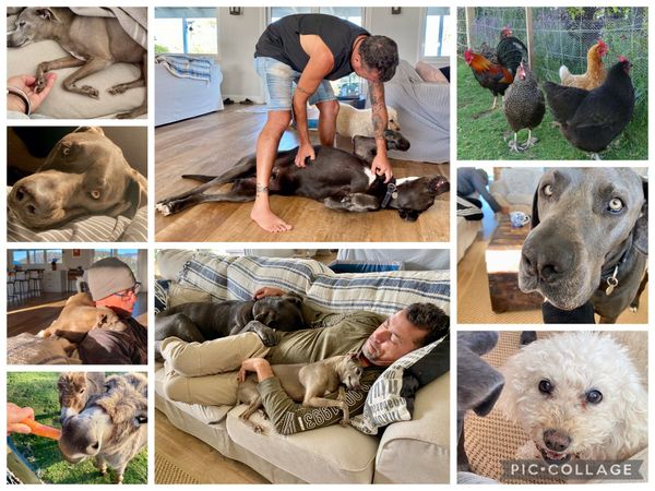 What exactly is House Sitting?