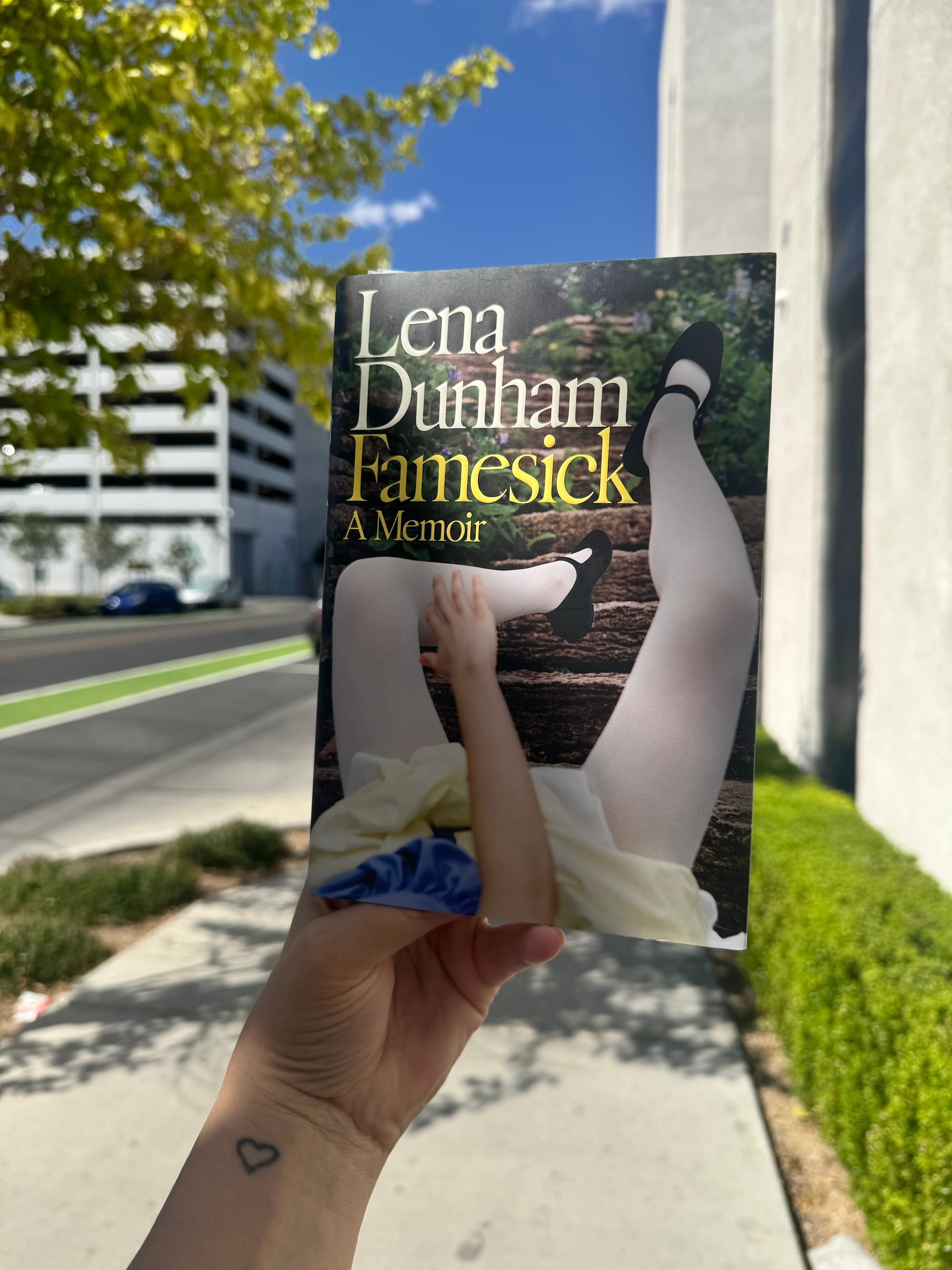the cover of lena dunham's famesick against an outdoor background