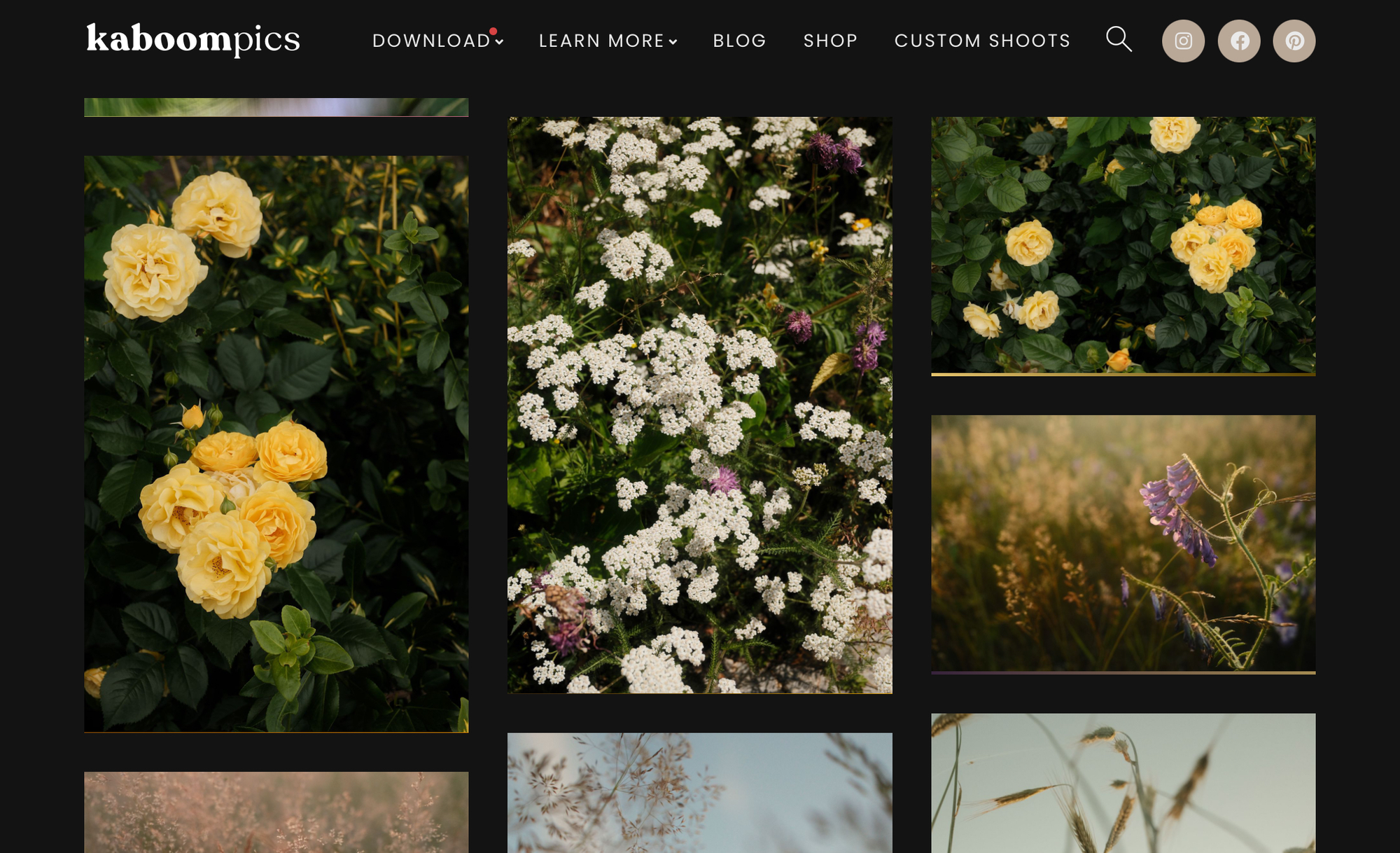 Kaboompics is best for close-up images of flowers and plants.