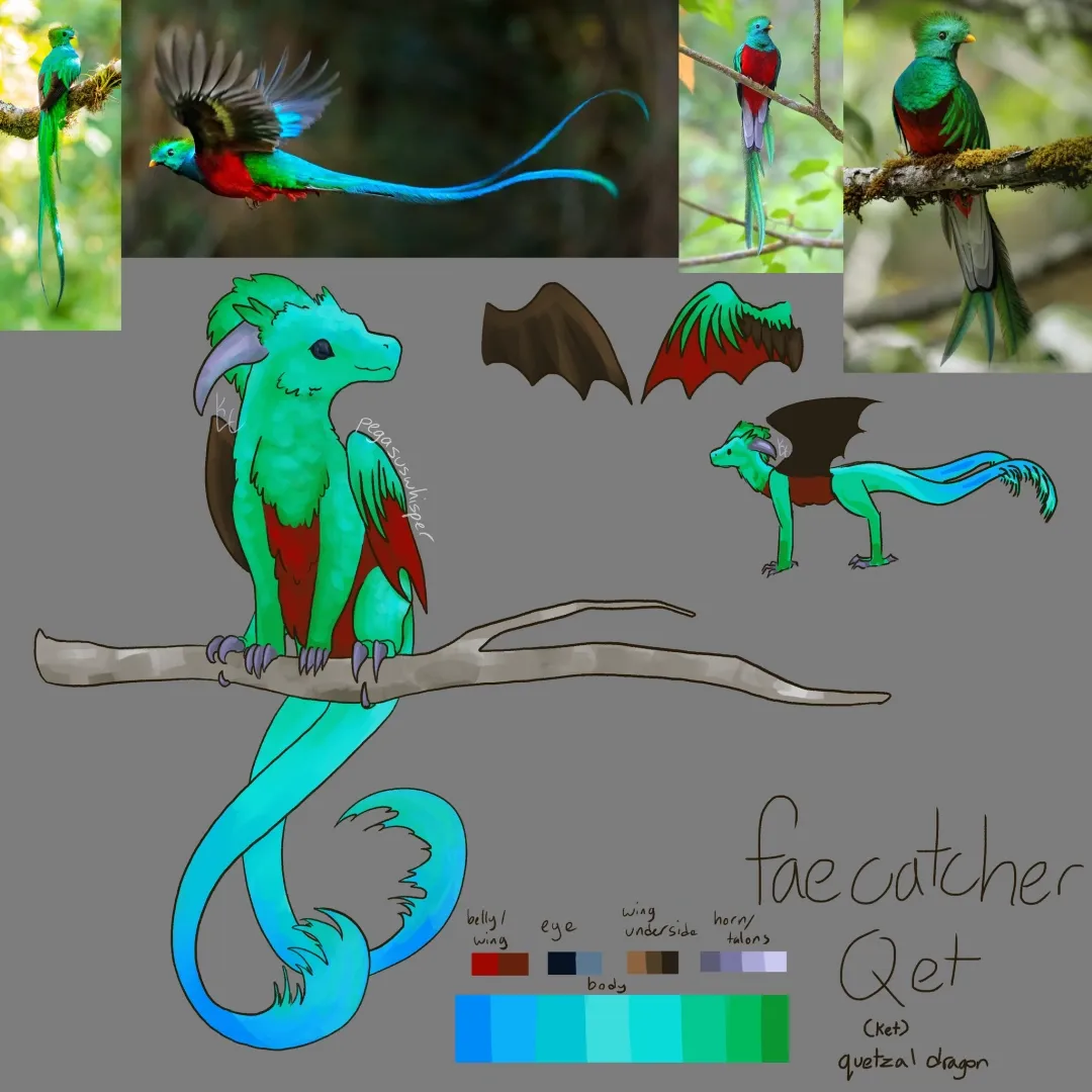 art depicts a small, bird-like dragon who has the perfect build to catch fae