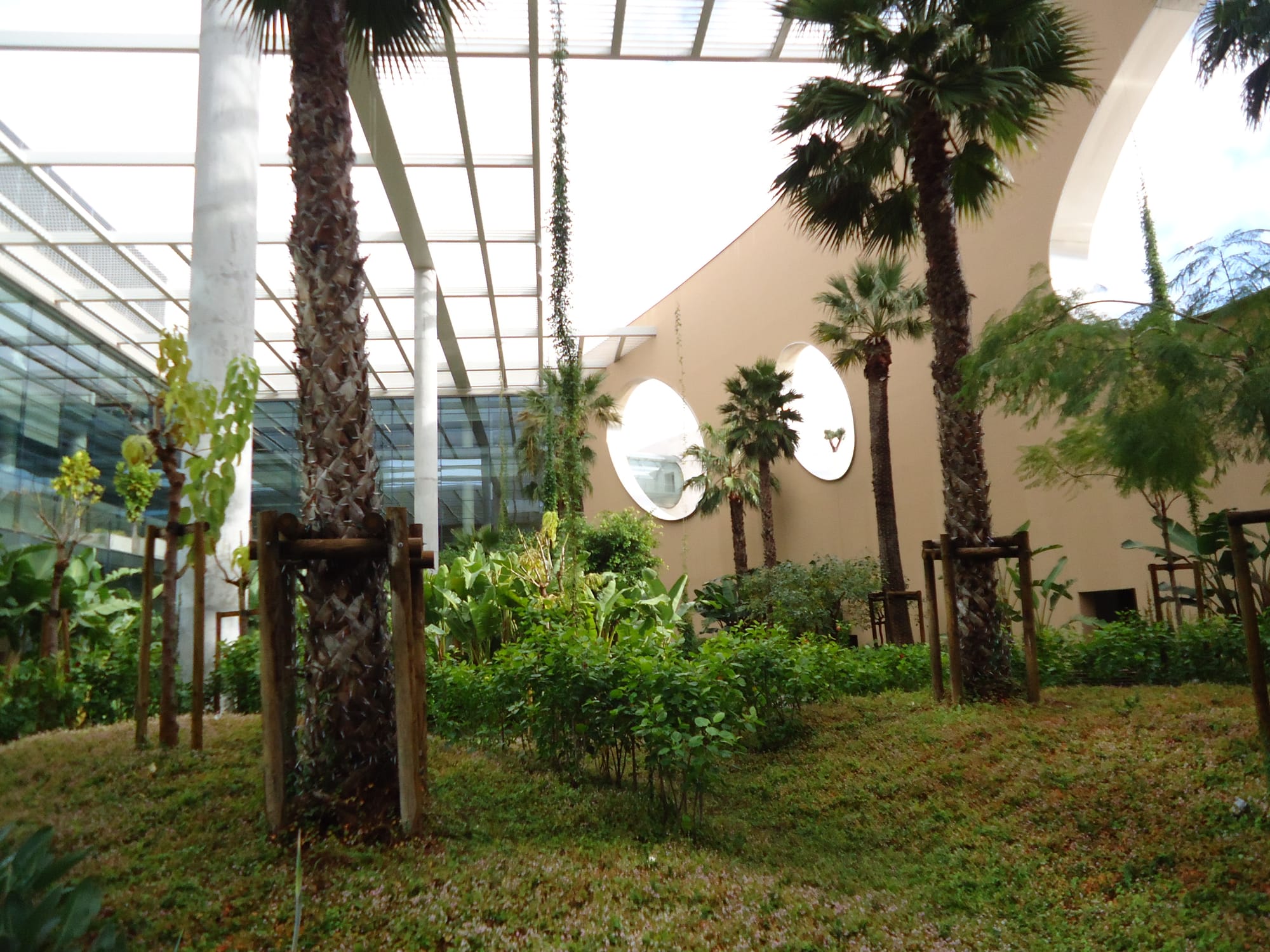 Champalimaud Centre for the Unknown
