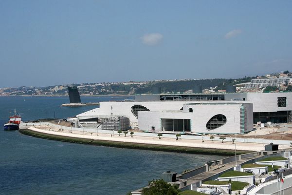 Champalimaud: Quando o Capital se Transforma em Poder Intelectual