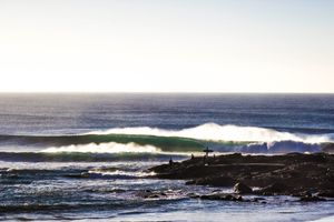 surfing
