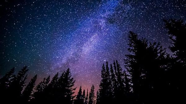 New poems from Garth Upshaw