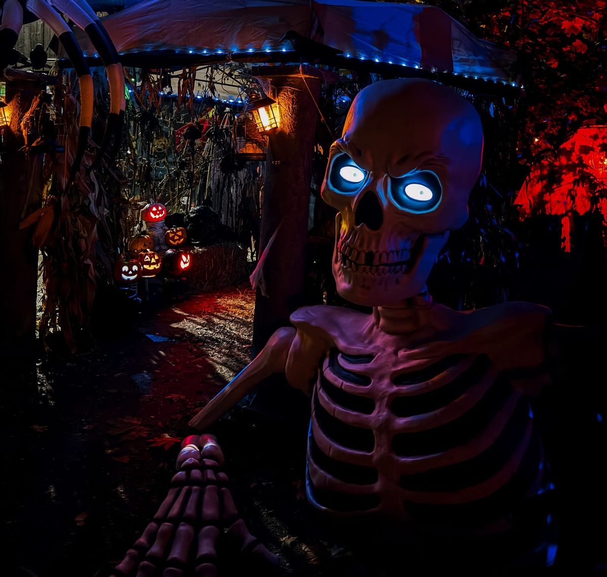 A Haunted House in the South Shuswap