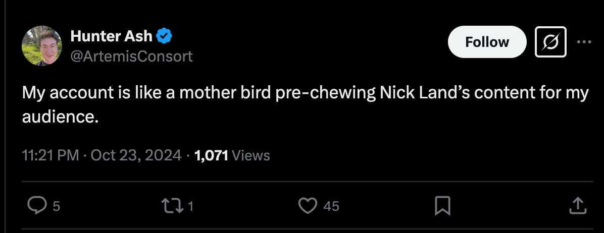 Tweet from Hunter Ash on Oct 23, 2024: "My account is like a mother bird pre-chewing Nick Land's content for my audience."